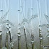 bamboo-glass