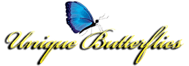unique-butterflies-logo
